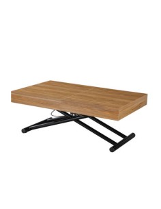 Mesa de Centro Elevable y... 2