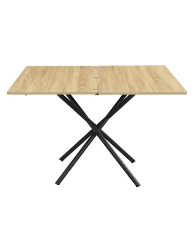 MESA CENTRO ELEVABLE Y EXTENSIBLE...