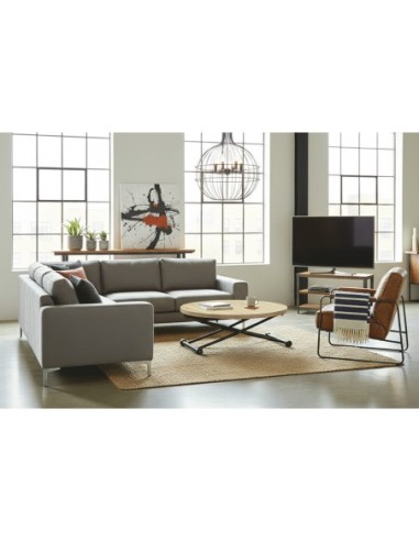 MESA CENTRO ELEVABLE Y EXTENSIBLE 100...