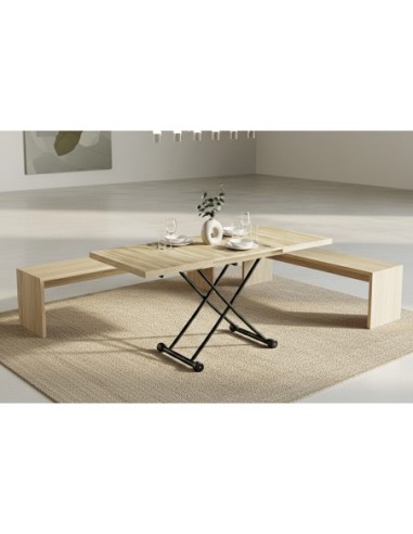 MESA CENTRO ELEVABLE Y EXTENSIBLE 100...