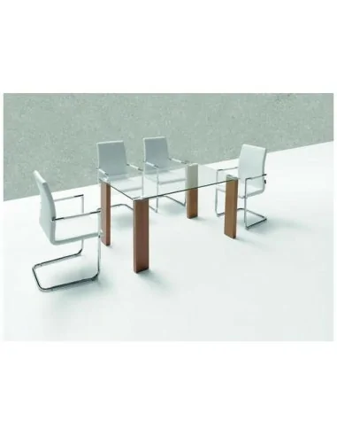 Silla de Comedor Evo Silla de Comedor Evo