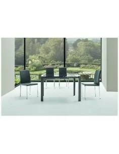 Silla de Comedor Kise 2